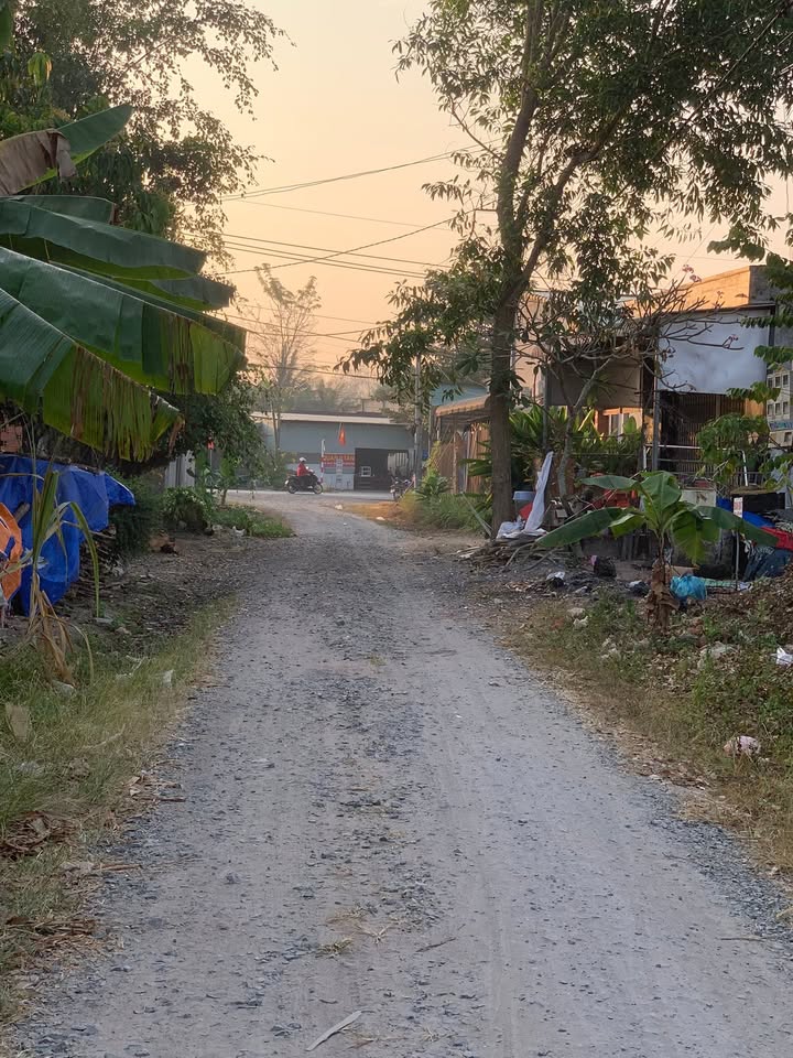 Đất thổ cư 325m² tại Tây Ninh - Mặt tiền đường lớn, giá chỉ 1.3 tỷ!