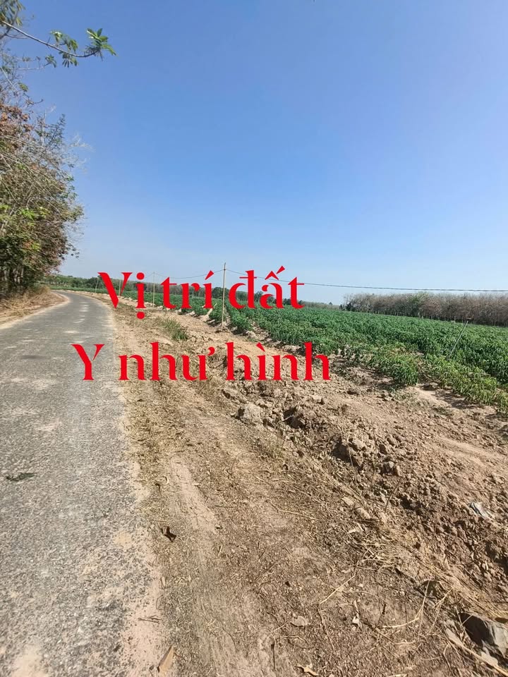 Đất nền Phước Bình, Trảng Bàng, 1072m² giá chỉ 100 triệu - Cơ hội đầu tư hấp dẫn!