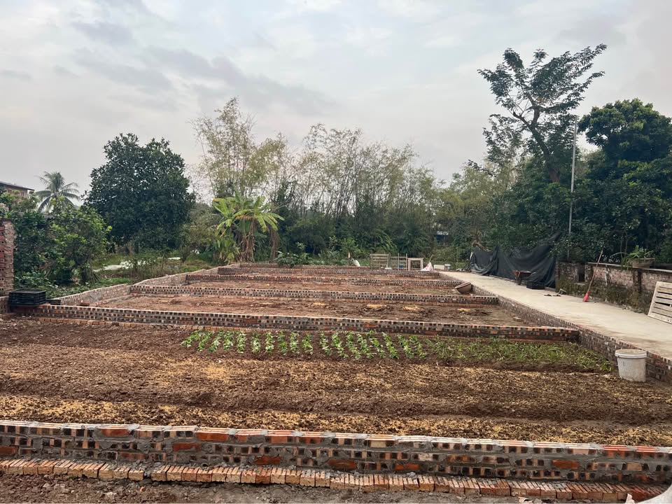 Đất nền Mãn Xá Đông, Bắc Ninh 51m² chỉ 1.4 tỷ - Cơ hội đầu tư tốt!