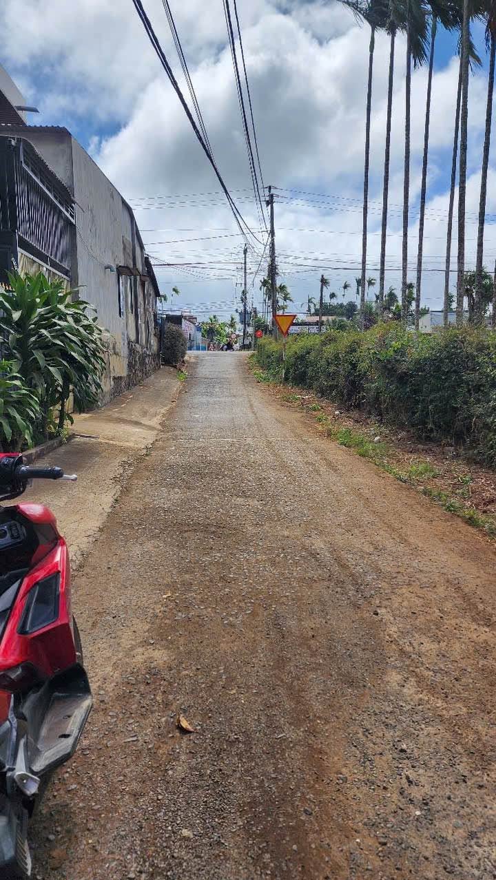 Đất nền Hòa Thuận, Buôn Ma Thuột 96m² chỉ 800 triệu - Sổ đỏ chính chủ!