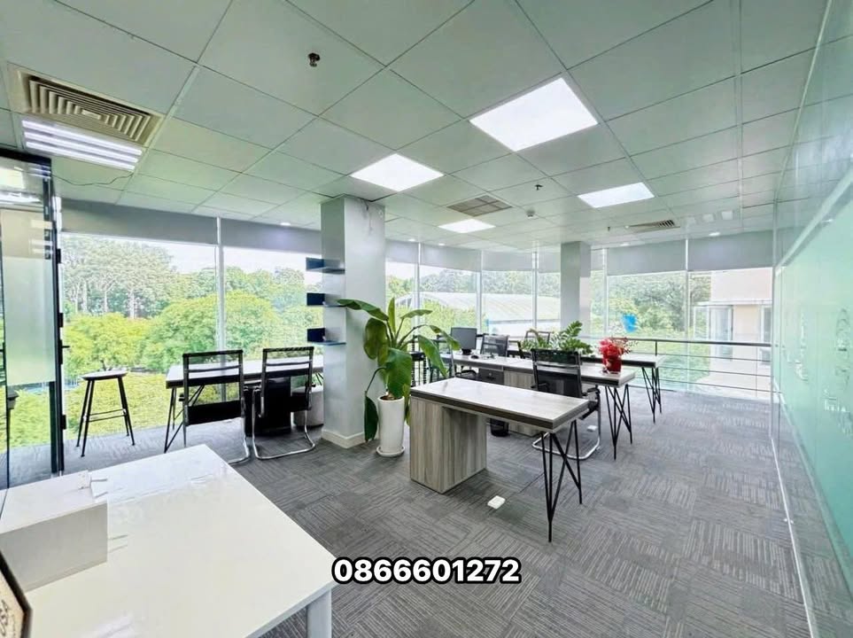 Văn Phòng Mặt Phố Hoàng Cầu 95m² - Giá 18 Triệu - View Đẹp