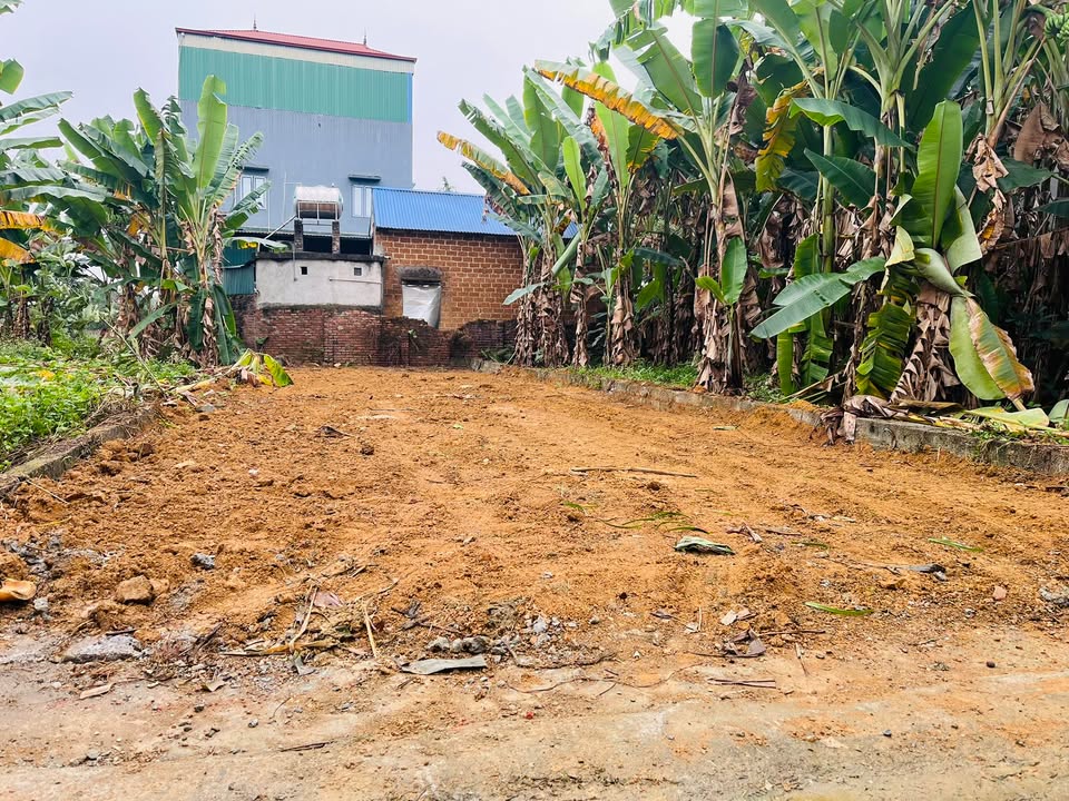 Đất thổ cư 120m² tại Thôn 3, Xã Tân Xã - Giá chỉ 3.x tỷ VND, cơ hội đầu tư tuyệt vời!