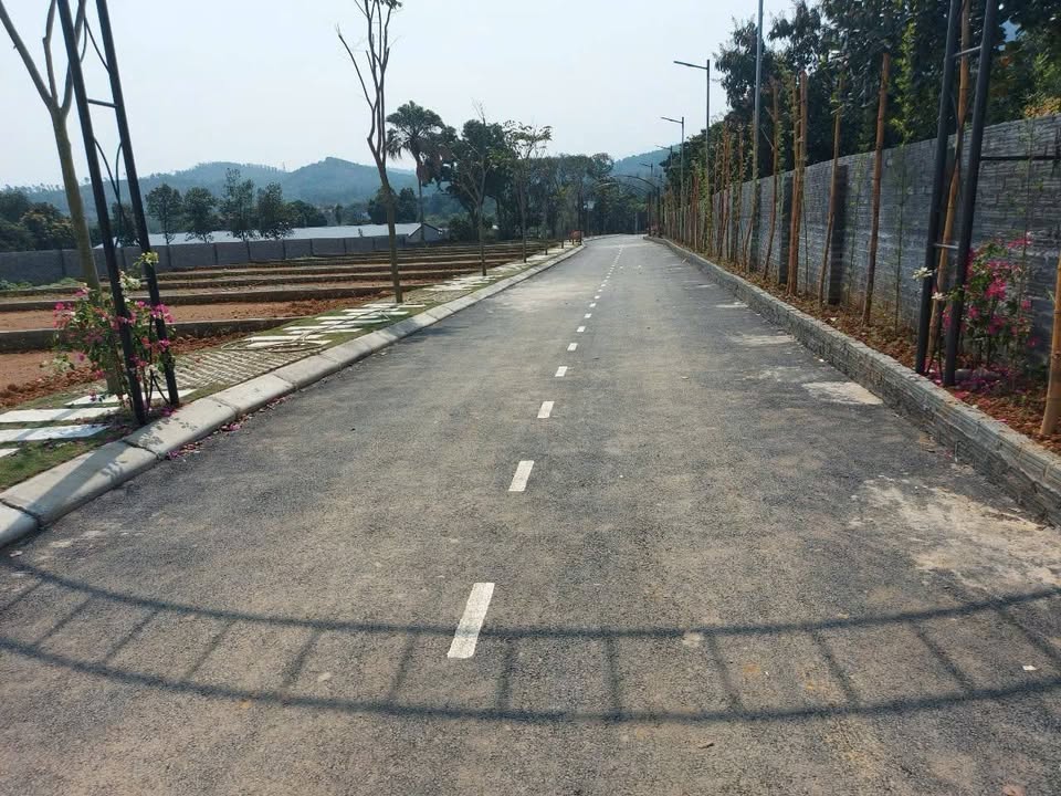 Đất nền Thạch Hòa 186m² giá tốt - Cơ hội đầu tư không thể bỏ lỡ!