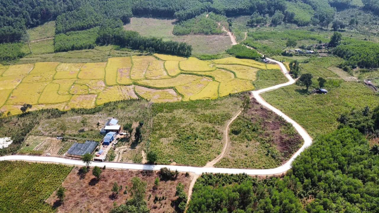 Đất nông nghiệp Hòa Sơn 6000m² giá 3 tỷ - Cơ hội đầu tư tuyệt vời!