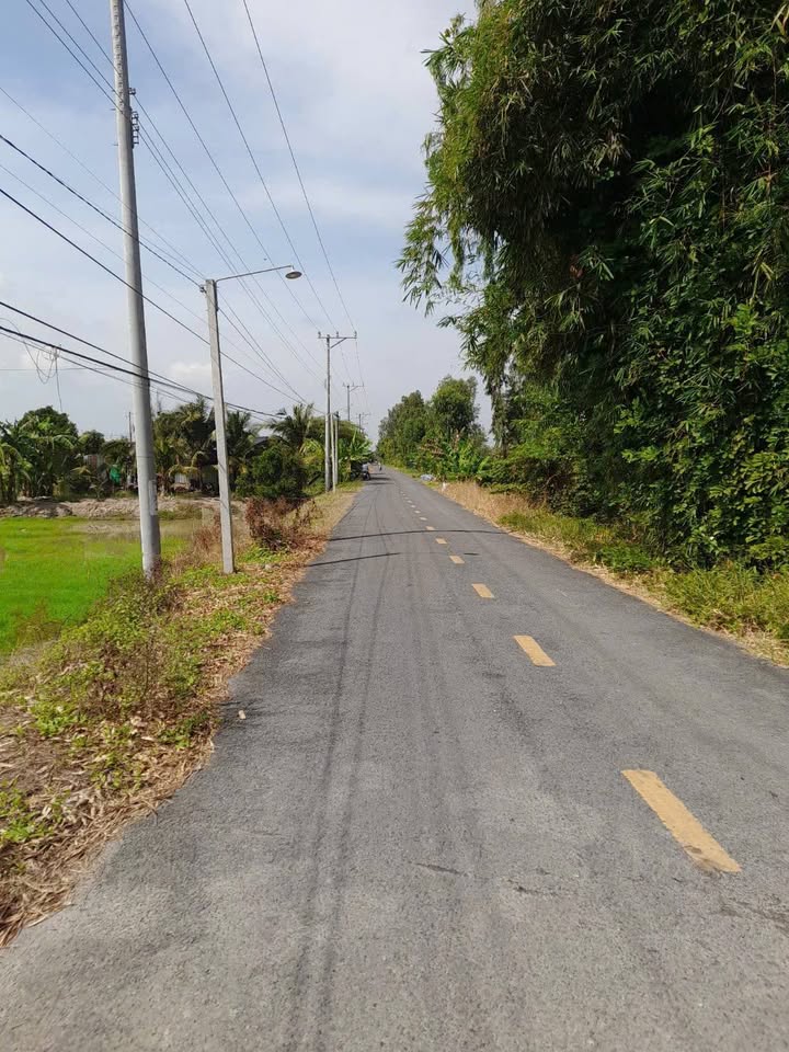 Đất ruộng mặt tiền đường 26/3 Lai Vung 3.292m² giá 2.14 tỷ - Đầu tư sinh lời ngay!