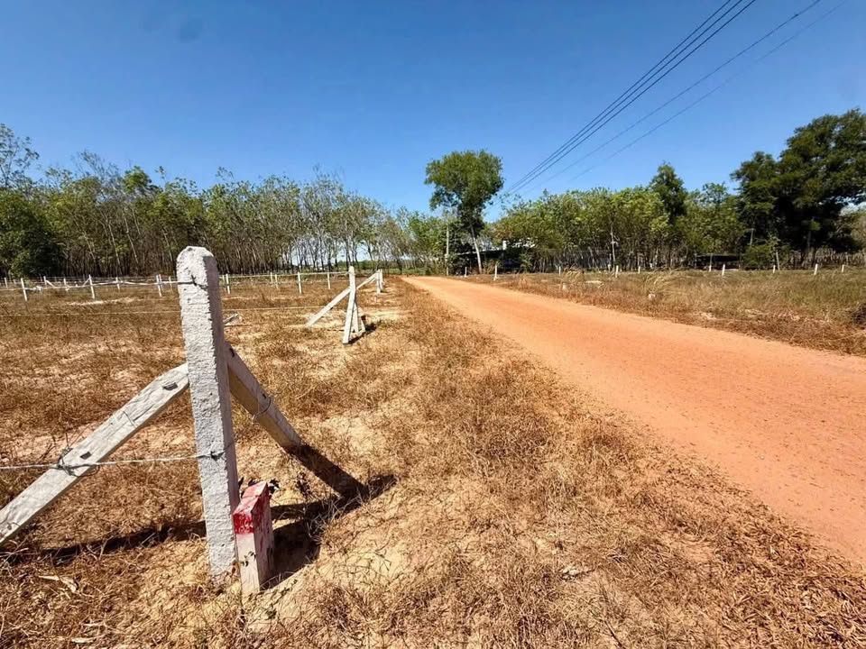 Đất thổ cư 770m² tại Xã Minh Thạnh, Củ Chi - Giá chỉ 499 triệu!