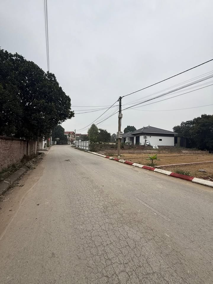 Lô đất 100m² tại Duyên Lâm, Ba Vì - Kinh doanh thuận lợi, giá 2 tỷ!