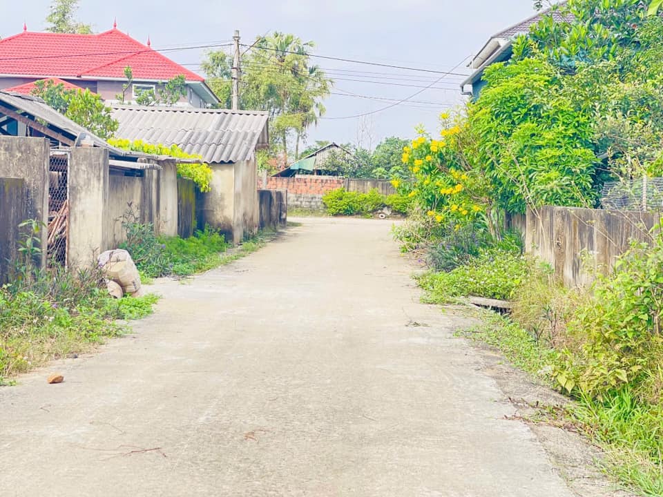 Đất Nền Lộc Nội, Thạch Xuân 160m² - Giá Đầu Tư 7 Tỷ