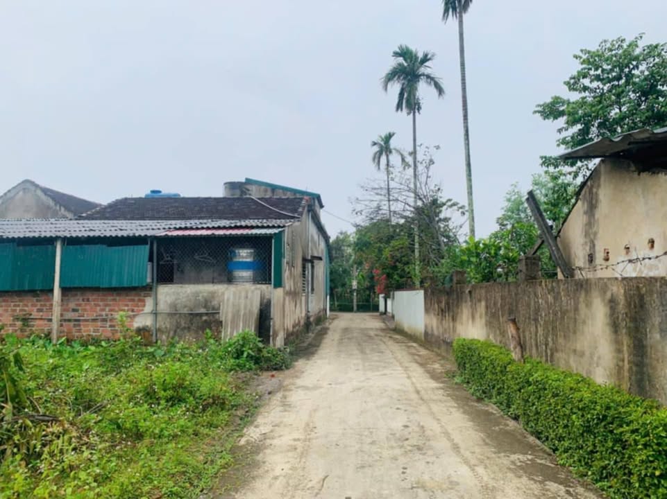 Đất Thổ Cư Thôn Bình Minh, Thạch Bình, Hà Tĩnh 126m² giá 1.7 tỷ - Cơ hội đầu tư tuyệt vời!