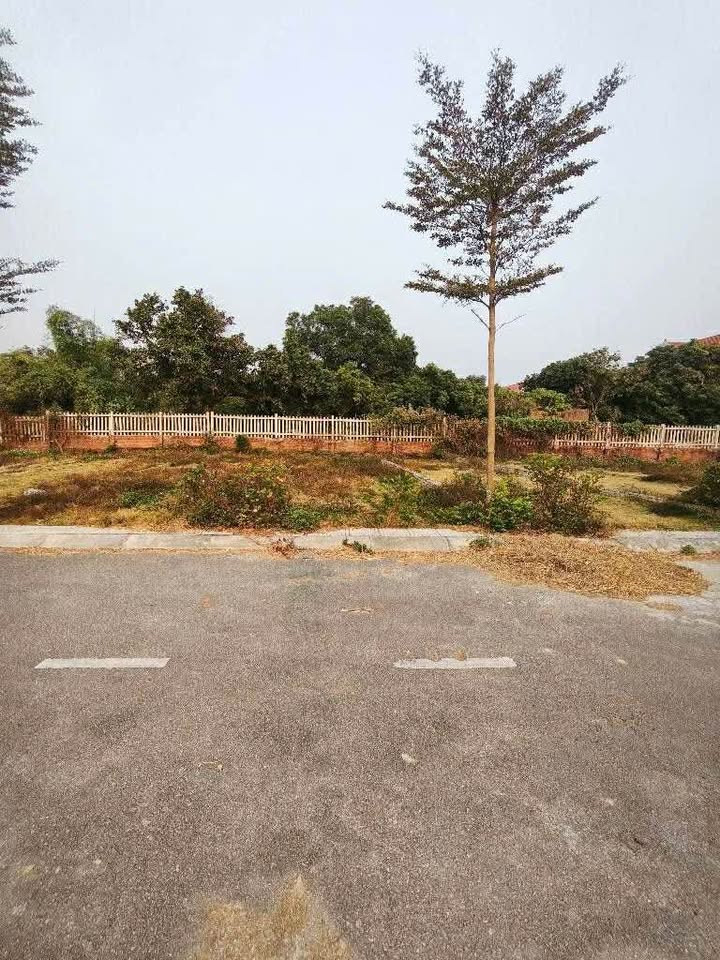 Đất thổ cư Phú Ninh, Sóc Sơn 75.2m² giá 1.8 tỷ - Đầu tư sinh lời ngay!