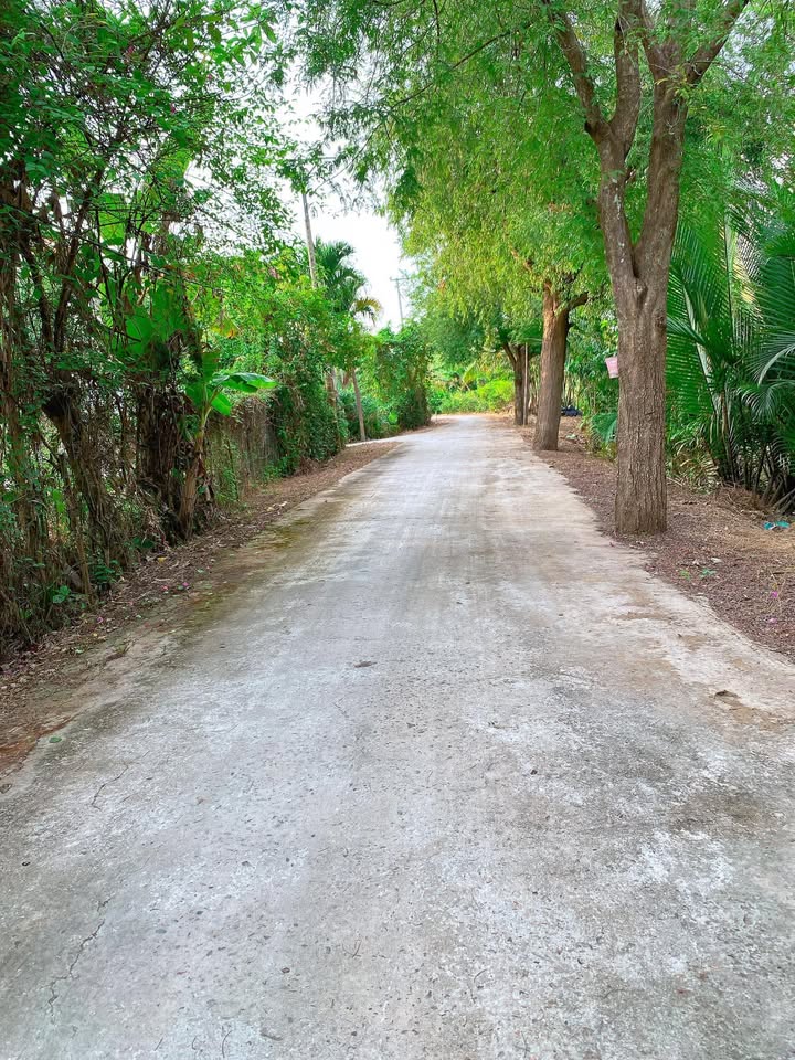 Đất nền An Bình, Quận Ninh Kiều 490m² giá 2 tỷ - Đầu tư sinh lời ngay!