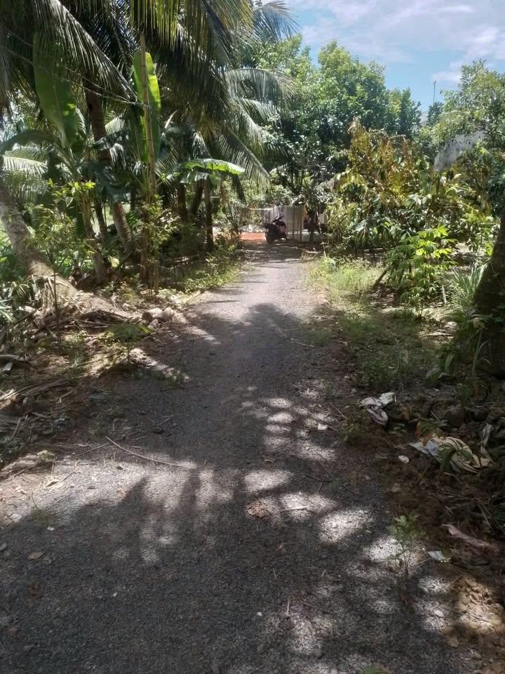 Đất nền chính chủ Xã Tân Thạnh 320m² giá 480 triệu - Đất thổ cư 100%!