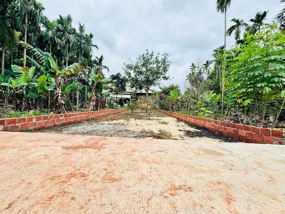 Đất nền Nguyễn Trãi, Phường Nghĩa Lộ, 100m² giá 1.1 tỷ - Đầu tư thông minh!