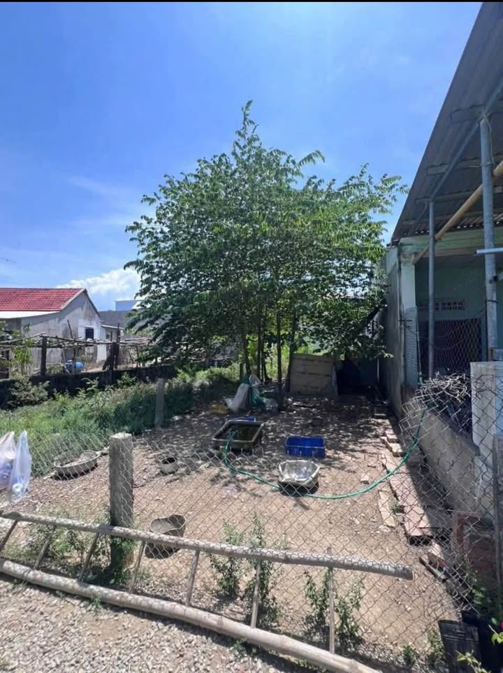 Đất nền phường Cẩm Thành, 131m² giá chỉ 700 triệu - Cơ hội đầu tư tuyệt vời!