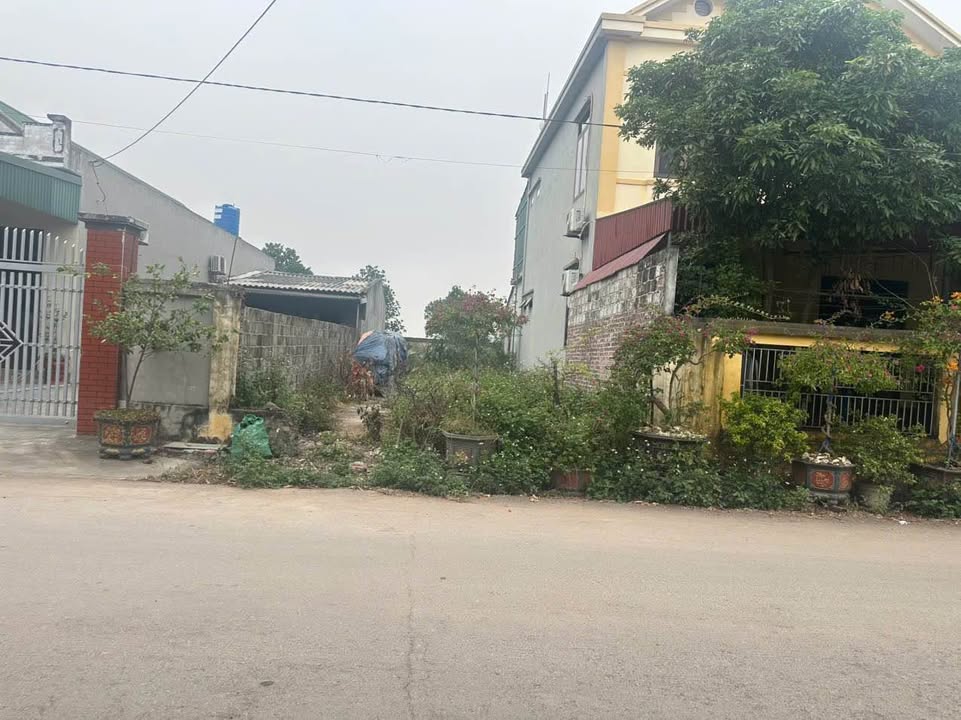 Đất nền huyện Quỳnh Phụ Thái Bình 100m² giá 1.2 tỷ - Đầu tư sinh lời ngay!