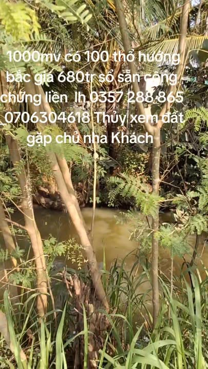 Đất vườn 1000m² xã Đồng Thạnh Tiền Giang giá 680 triệu - Đầy đủ tiện ích