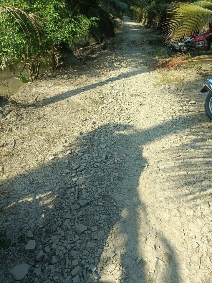 Đất cây lâu năm 500m² tại ấp Bình Hòa, giá chỉ 270 triệu - Sổ đỏ chính chủ!