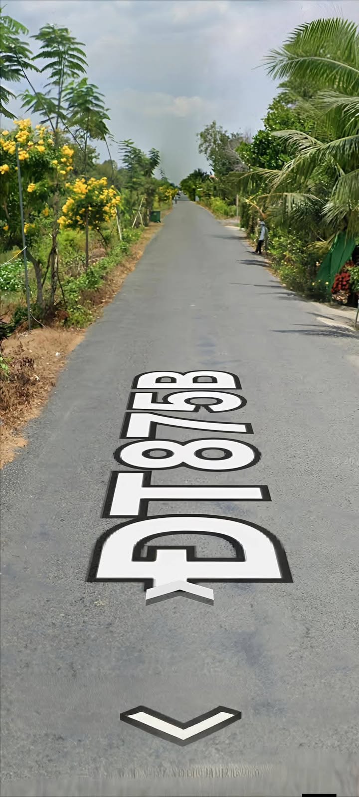 Farm 5 Công tại Xã Hiệp Đức, Huyện Cai Lậy - Giá 17.05 tỷ - Đầu tư sinh lời hấp dẫn!