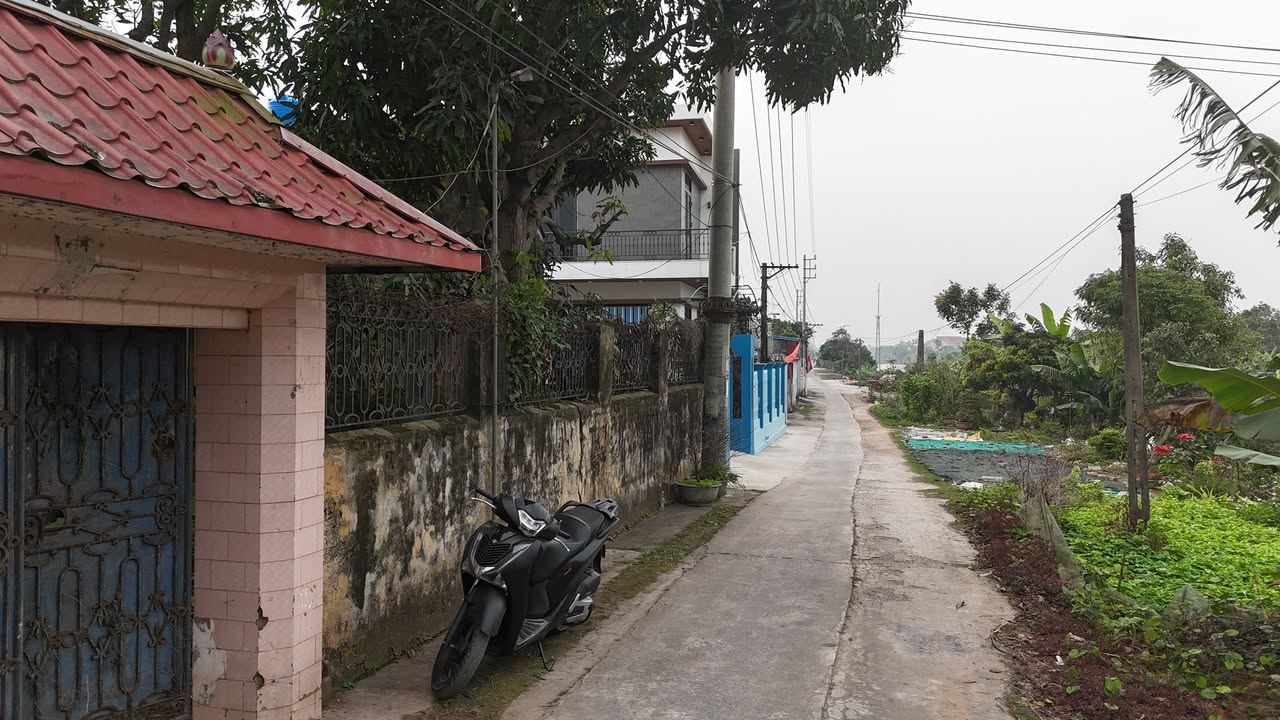 Đất thổ cư 370m² tại Xóm 6, Xuân Phú, Xuân Trường - Giá chỉ 2.15 tỷ!