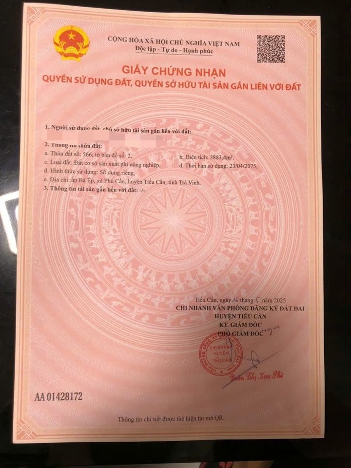 Đất nền 22.000m² tại Quốc lộ 60, Huyện Hóc Môn - Cơ hội đầu tư sinh lời!