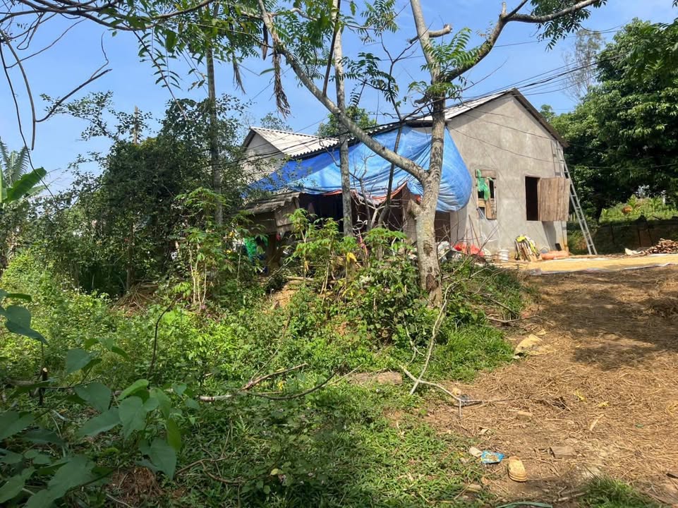 Đất Farm Lạc Sơn Hòa Bình 2750m², Sổ đỏ - Giá chỉ 999 triệu, Đường ô tô vào tận nơi!