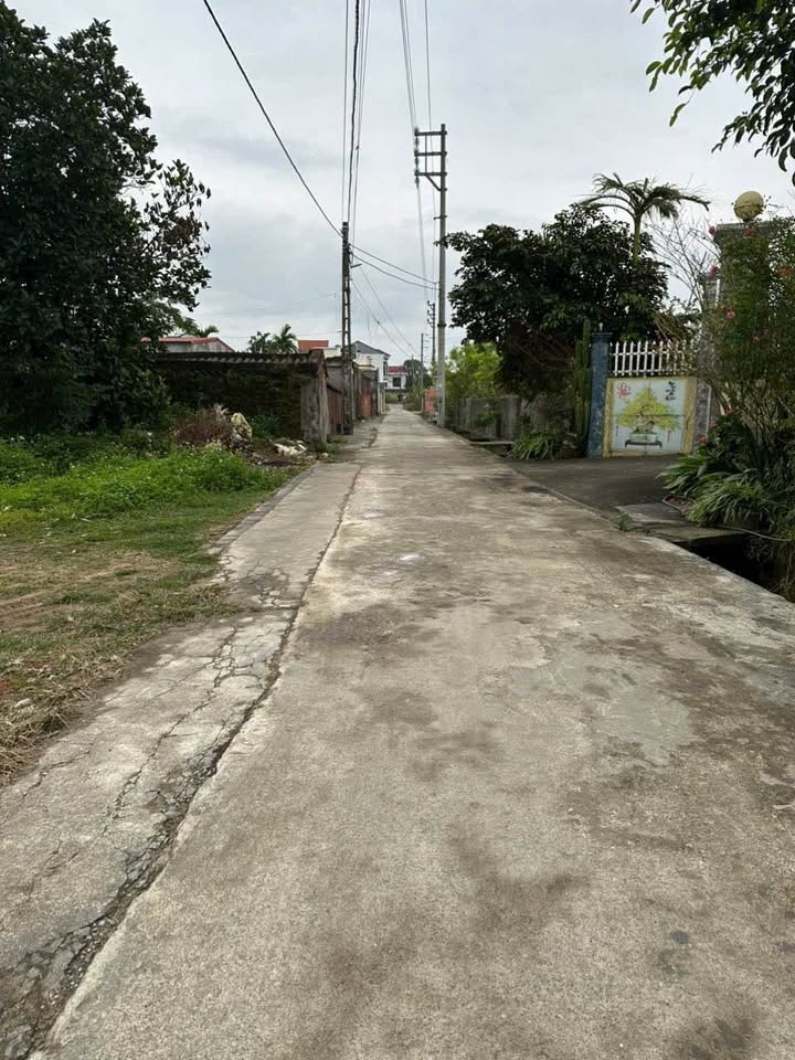 Đất thổ cư Dương Phúc - Thái Thụy 80m² giá chỉ 800 triệu - Sổ đỏ trao tay!