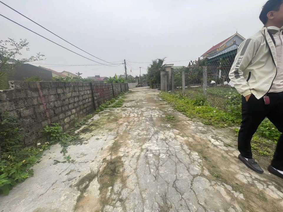 Đất nền Xóm 2 Nghi Kim 100m² giá 2 tỷ - Cơ hội đầu tư hiếm có!