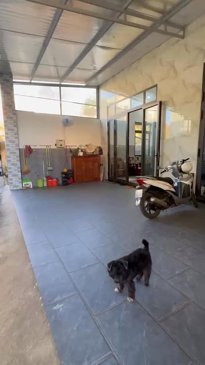 Đất nền Phường Hoa Lư, Pleiku, Gia Lai 678m² giá thỏa thuận - Đầu tư sinh lời ngay!