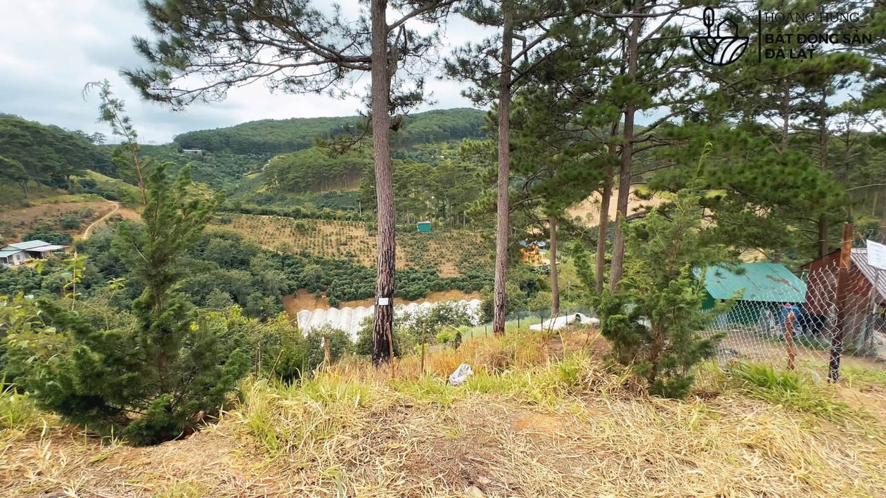 Đất nông nghiệp 1200m² tại Xuân Trường Đà Lạt giá chỉ 2.5 tỷ - Cơ hội đầu tư tuyệt vời!