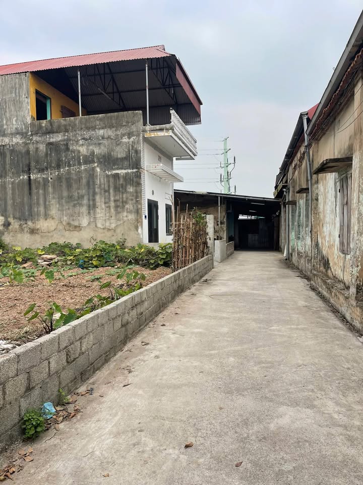 Đất nền Vạn Phúc, Thanh Trì 104,5m² giá 3,7 tỷ - Phát triển mạnh mẽ!