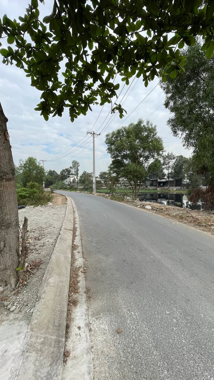 Nhà Mặt Tiền Trần Hải Phụng, Bình Tân - 130m², 6.5 Tỷ, Sổ Hồng Riêng