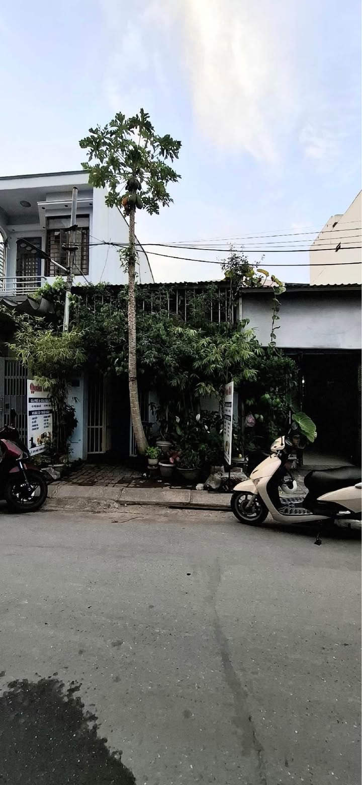 Đất Vàng 120m² Mặt Tiền Kinh Doanh, Ngay Phố Du Lịch Biển Mỹ An, Đà Nẵng