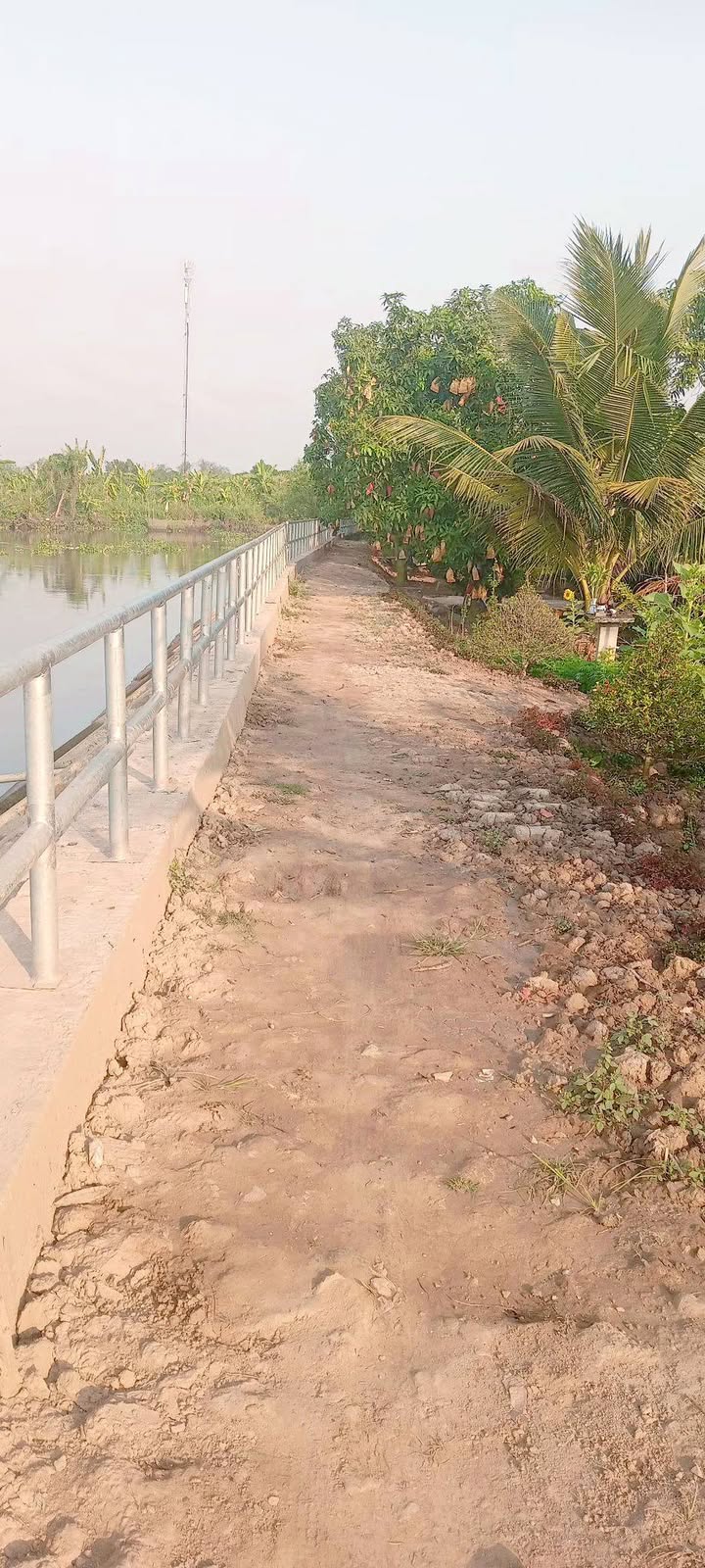 Đất nền 238.5m² tại Tân Hưng Cái Bè - Giá chỉ 240 triệu - View sông thoáng mát!