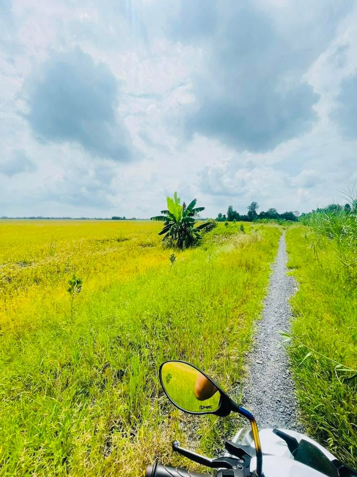 Đất nông nghiệp Xã Bình Thành 6.600m² giá 1.254 tỷ - Cơ hội đầu tư hấp dẫn!