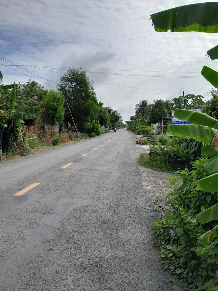 Đất mặt tiền đường HL2, xã Tân Bình, huyện Càng Long, 660m² - Đầu tư sinh lời ngay!