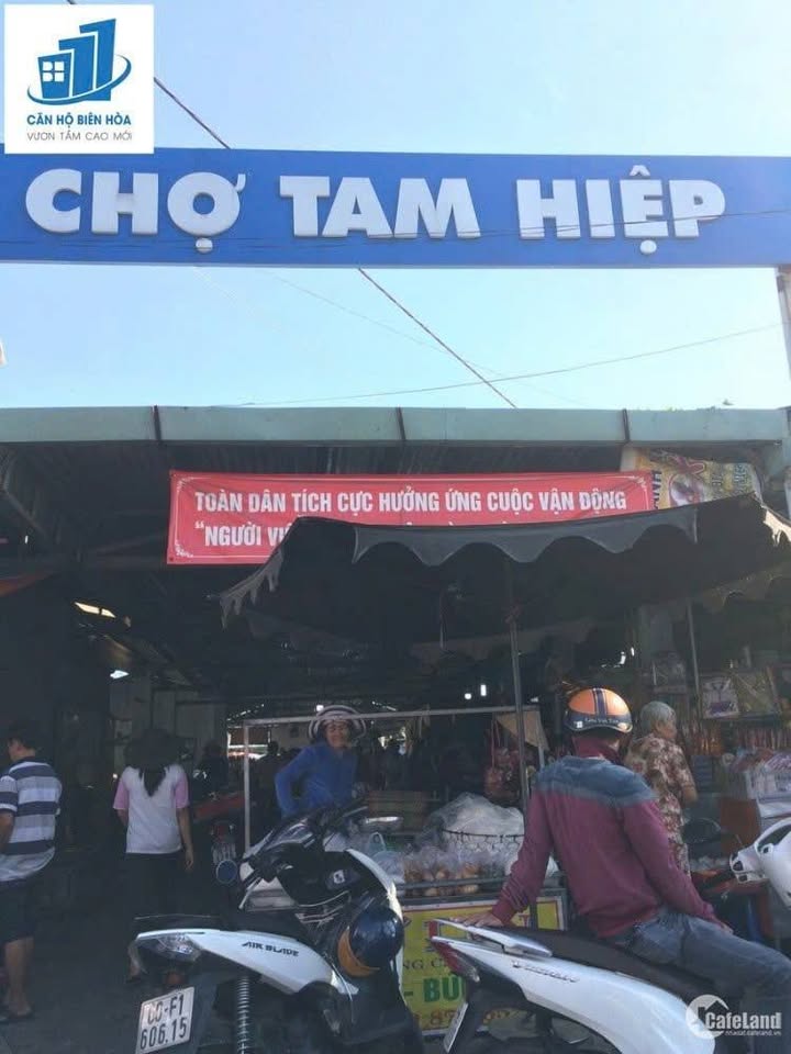 Lô đất Phường Tam Hiệp 145m² giá 3 tỷ - Sổ hồng riêng, thổ cư 100%