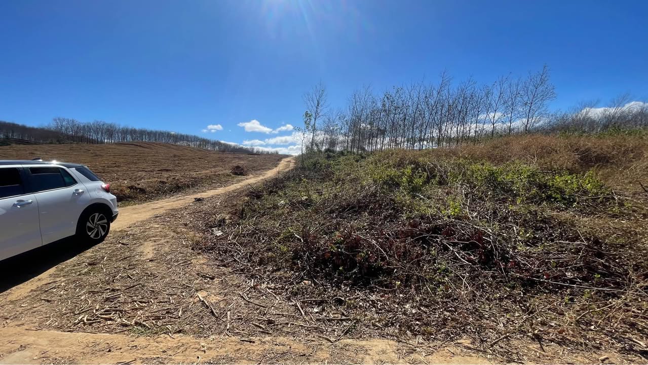 Đất nền Huyện Kon Plông 540m² giá chỉ 900 triệu - Cơ hội đầu tư tuyệt vời!