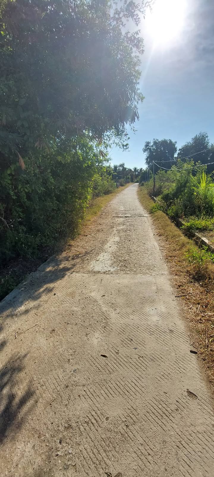 Đất Farm 5.252m² tại Phước Hậu, Ninh Phước, giá 9.45 tỷ - Cơ hội đầu tư hấp dẫn!