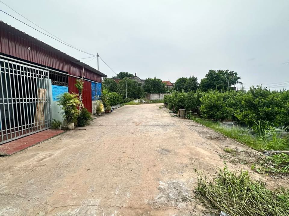 Đất phân lô Dương Hạ, Thắng Lợi, 128m² giá 5.8 tỷ - Đầu tư sinh lời hiếm có!