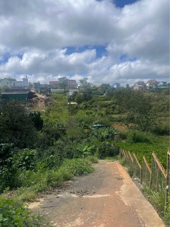 Đất thổ cư Lạc Dương 663m² giá 900 triệu - Cơ hội đầu tư hấp dẫn!