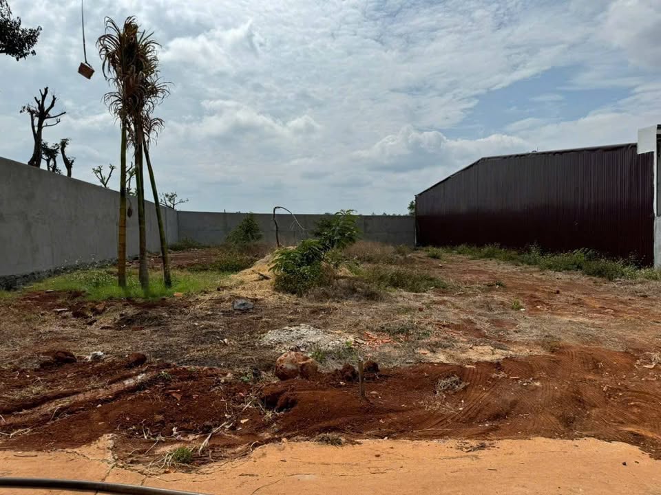 Đất nền thổ cư Xã Ea Kao 220m² giá 2.4 tỷ - Cơ hội đầu tư tốt!