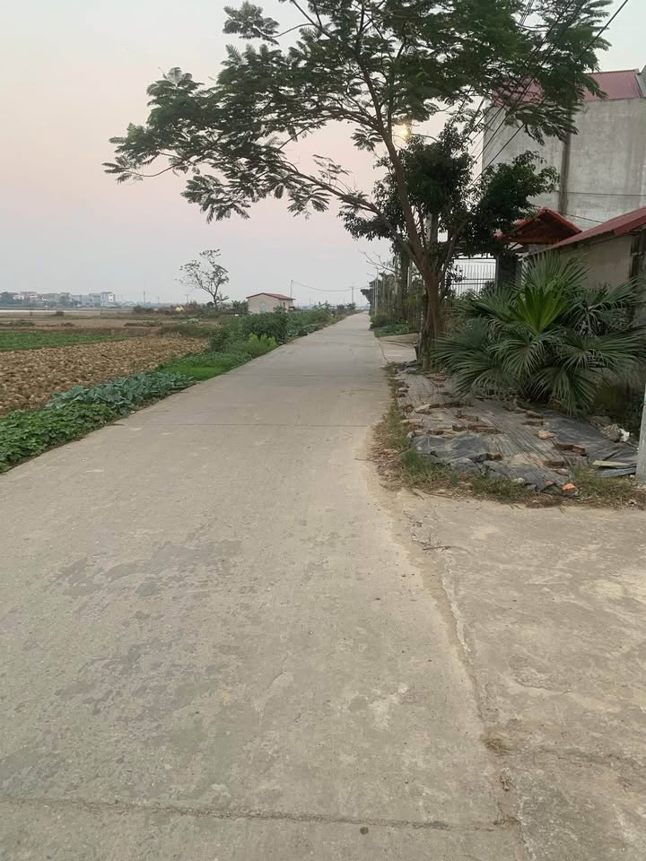 Đất nền Quế Tân 93m² giá 1.6 tỷ - Cắt lỗ gấp, ngay khu công nghiệp!