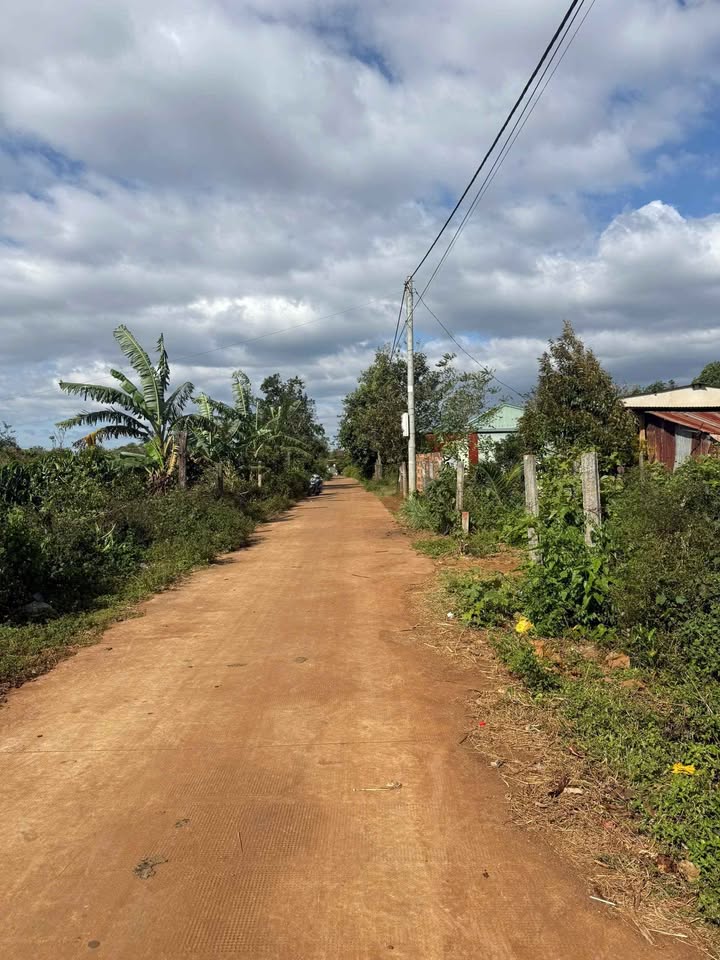 Đất thổ cư tại hẻm chính Đào Duy Từ, xã Biển Hồ, 150m² - Pháp lý rõ ràng