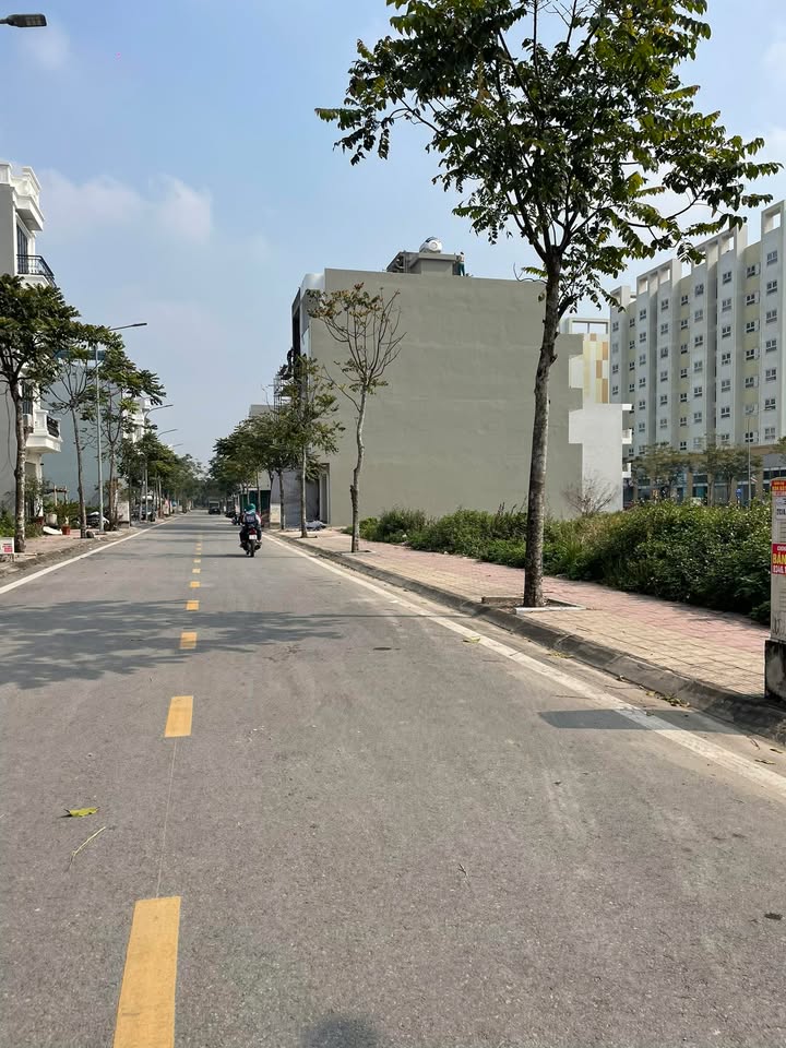 Lô đất đẹp KĐT Vũ Phúc 76.5m² giá 3 tỷ - Cơ hội đầu tư không thể bỏ lỡ!