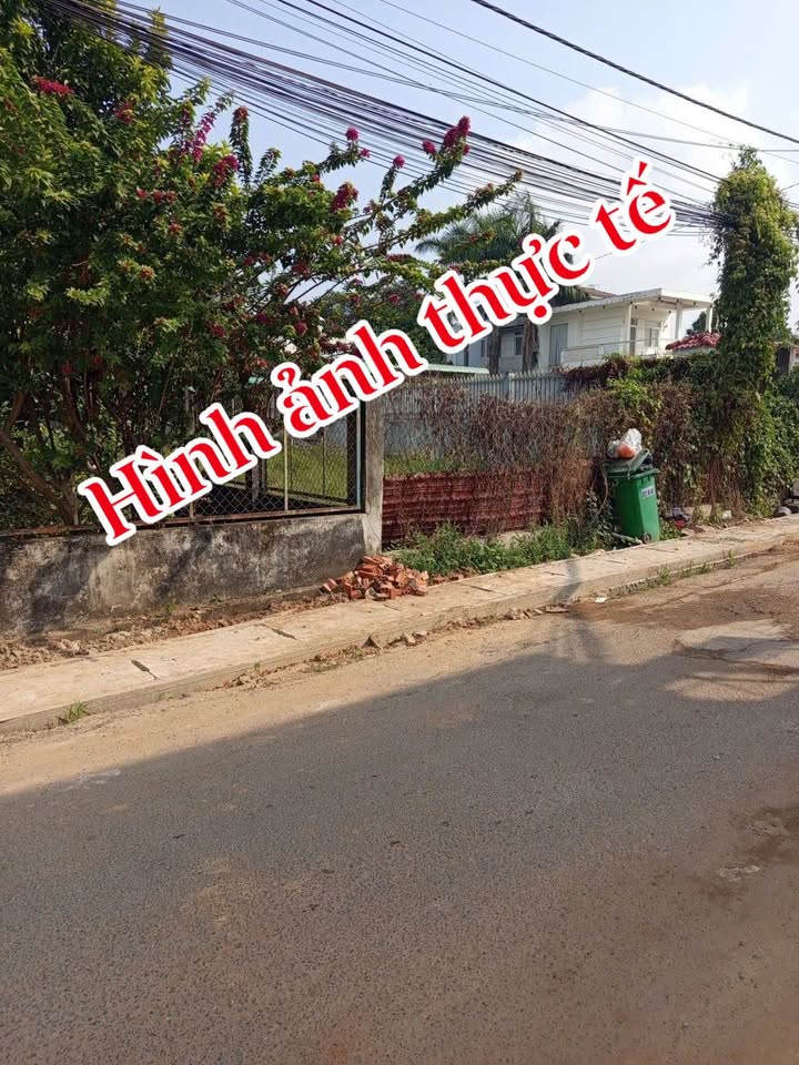 Đất nền mặt tiền đường nhựa xã Đại Phước 240m² - Giá thỏa thuận trước Tết!