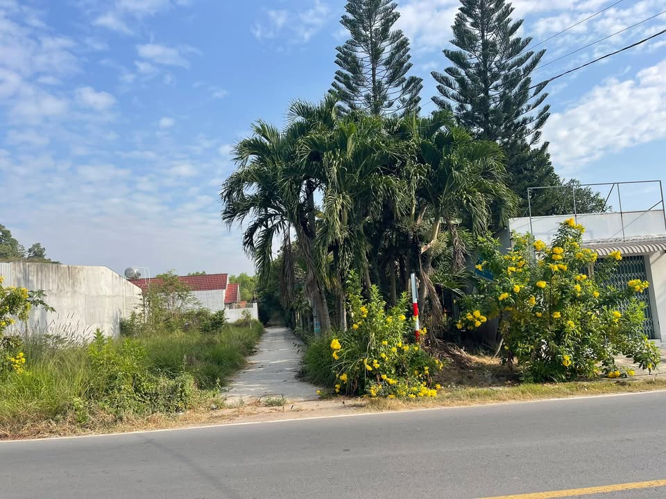 Đất nền thổ cư xã Phước An 80m² giá 1.1 tỷ - Cơ hội đầu tư tuyệt vời!