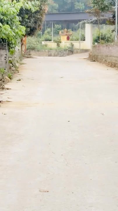 Đất nền 516m² xã Tu Vũ Phú Thọ - Mặt tiền 16m, giá 2 tỷ - Đầu tư sinh lời!