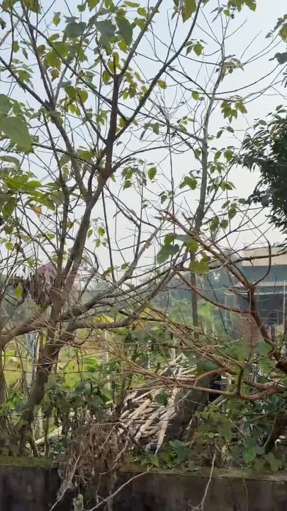 Lô đất Khu 8 Tu Vũ 200m² giá 2 tỷ - Pháp lý rõ ràng, sẵn sàng giao dịch!