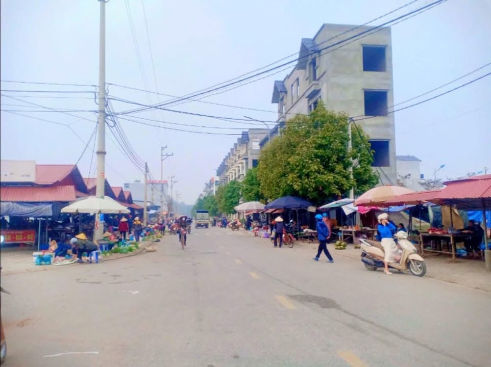 Đất nền xã Tam Nông Phú Thọ 100m² giá chỉ 2,5 tỷ - Nằm ngay mặt đường huyện lộ 77!