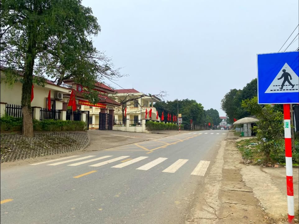 Đất nền chính chủ tại xã Xuân Viên, 150m² - Kinh doanh sầm uất!